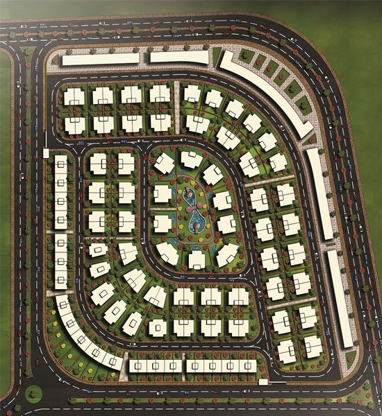 Portfolio Image